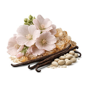 Base Note Fragrance Ingredient | KAVIOR Inspired Perfume